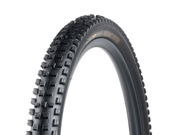 Pneu VTT Bontrager Galbraith RSL SE TLR