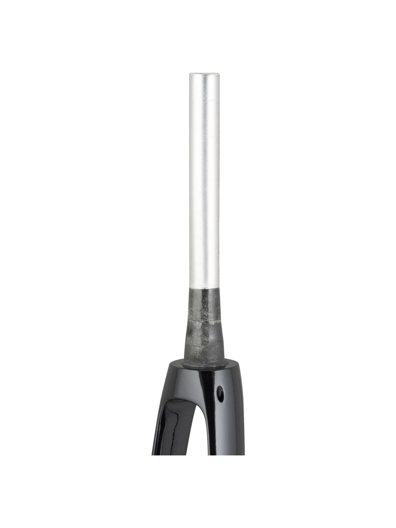 Trek 2021 Domane+ ALR 700c Rigid Forks