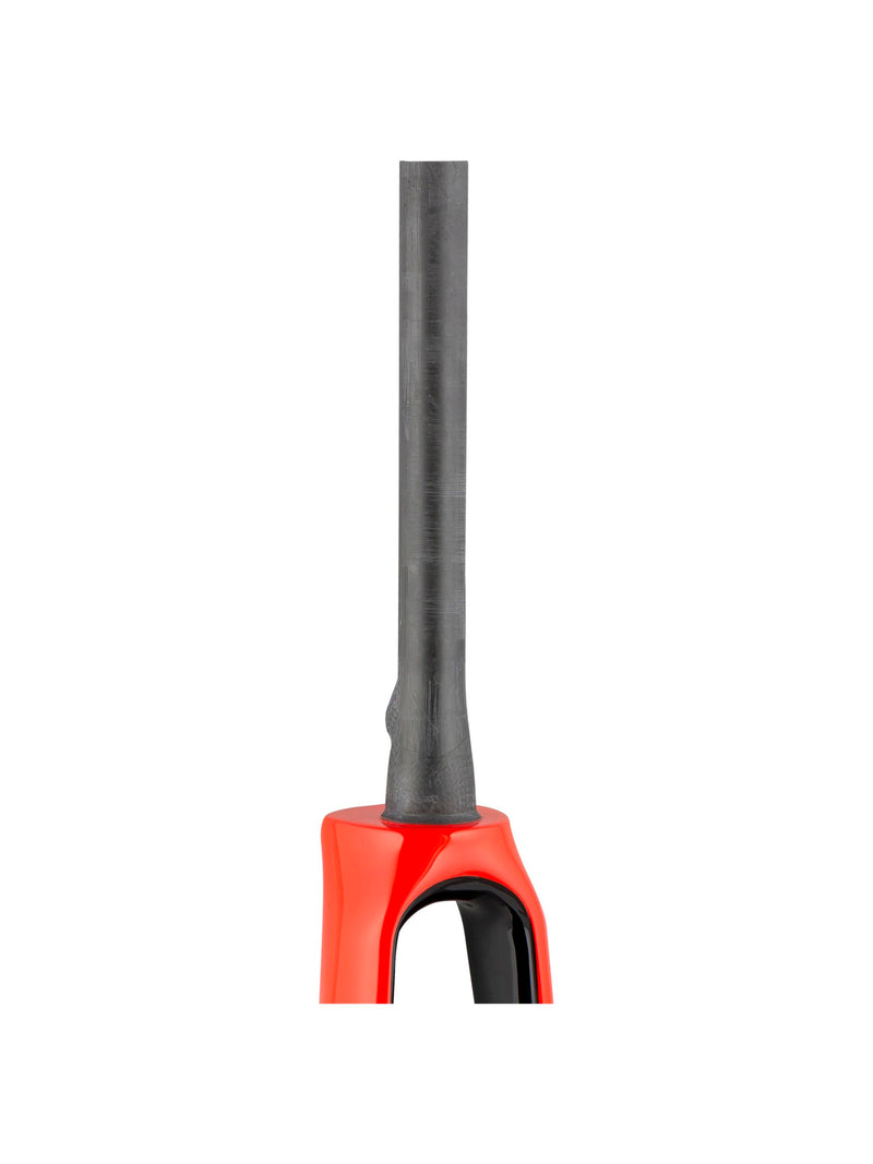 Domane+ HP 2020 700C Fourches