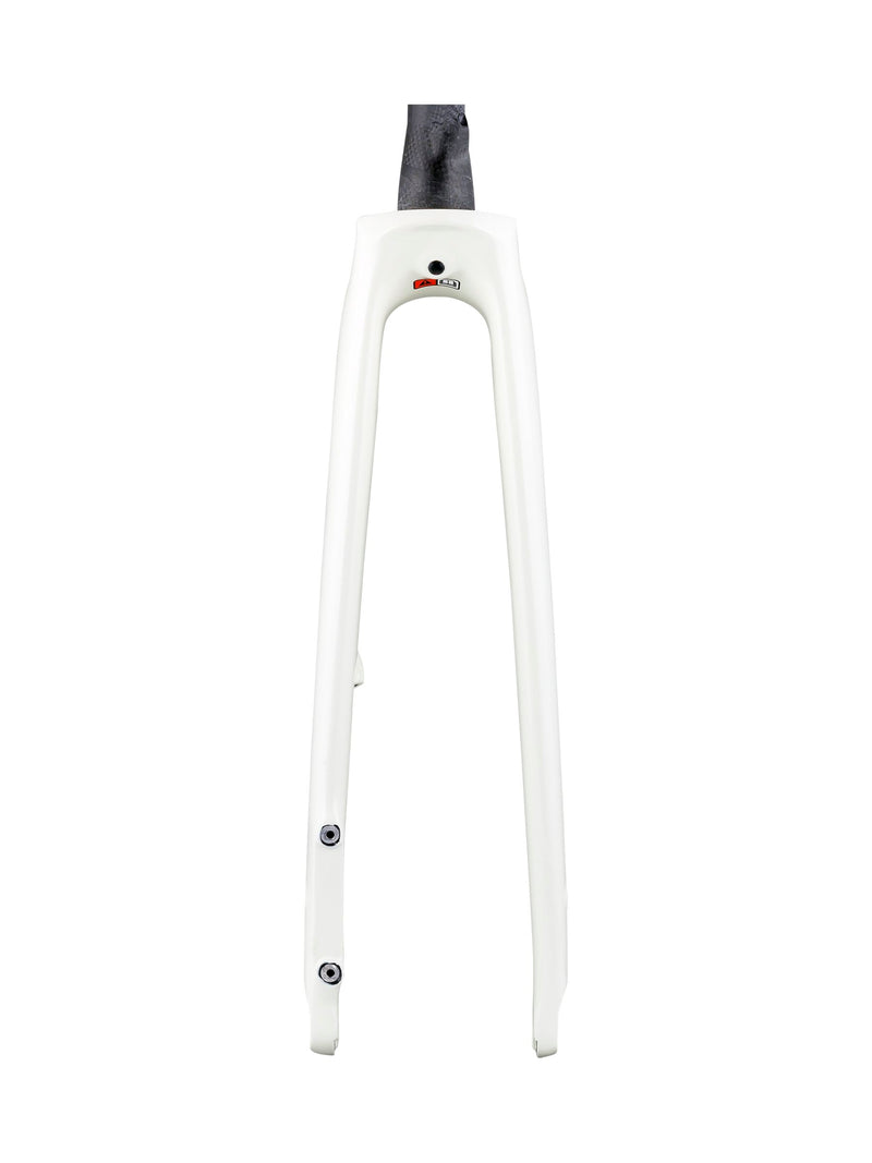 Domane+ HP 2020 700C Fourches