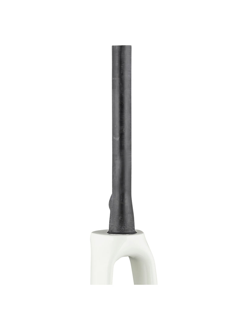 Domane+ HP 2020 700C Fourches