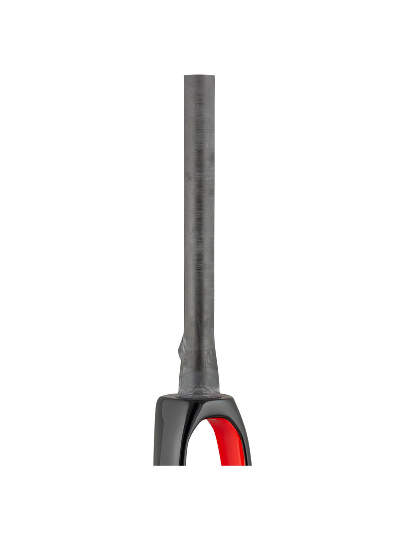 Domane+ LT 2020 700C Fourches
