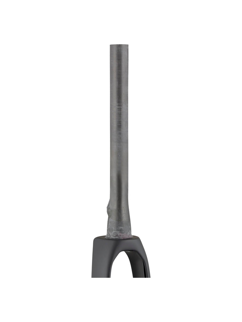 Domane+ LT 2020 700C Fourches