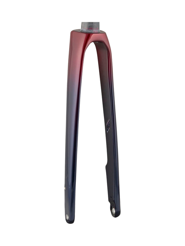 Domane+ LT 2020 700C Fourches