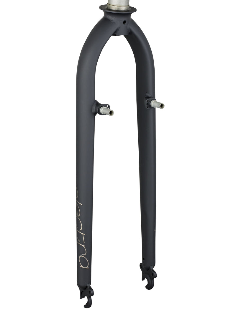 Fourche Electra Townie Commute 8D EQ, homme, 700c