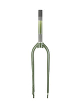 Electra Townie Path Go! Rigid Forks