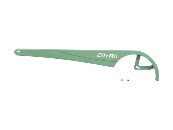 Electra Townie Rental 1 Chainguard