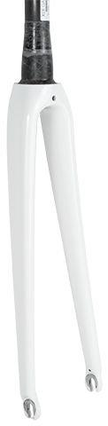 Trek 2012 Madone Carbon Neutral 700c Fork