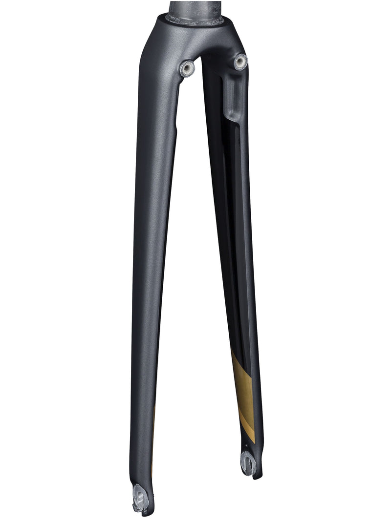 Fourche pour femmes Trek 2018 Émonda SL 5