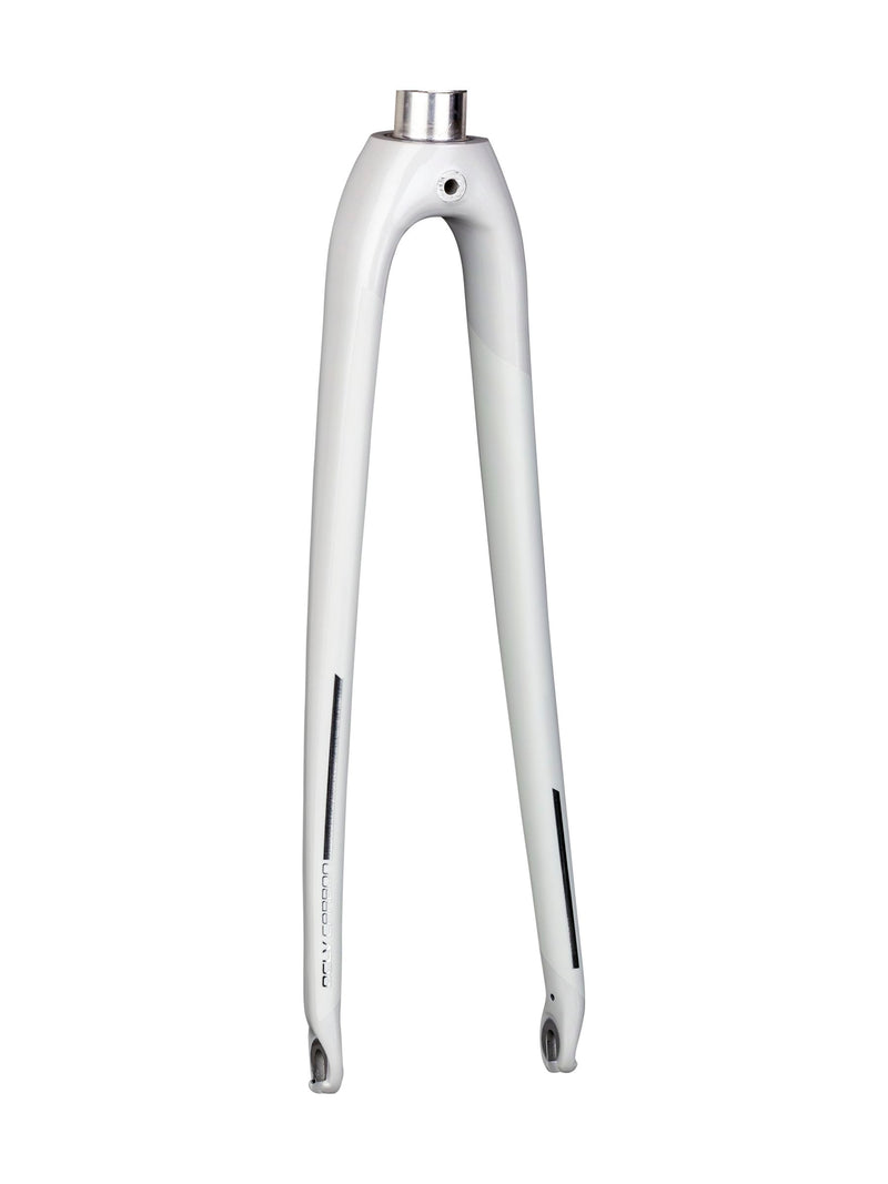 Trek 2019 Domane AL 700c Rigid Forks