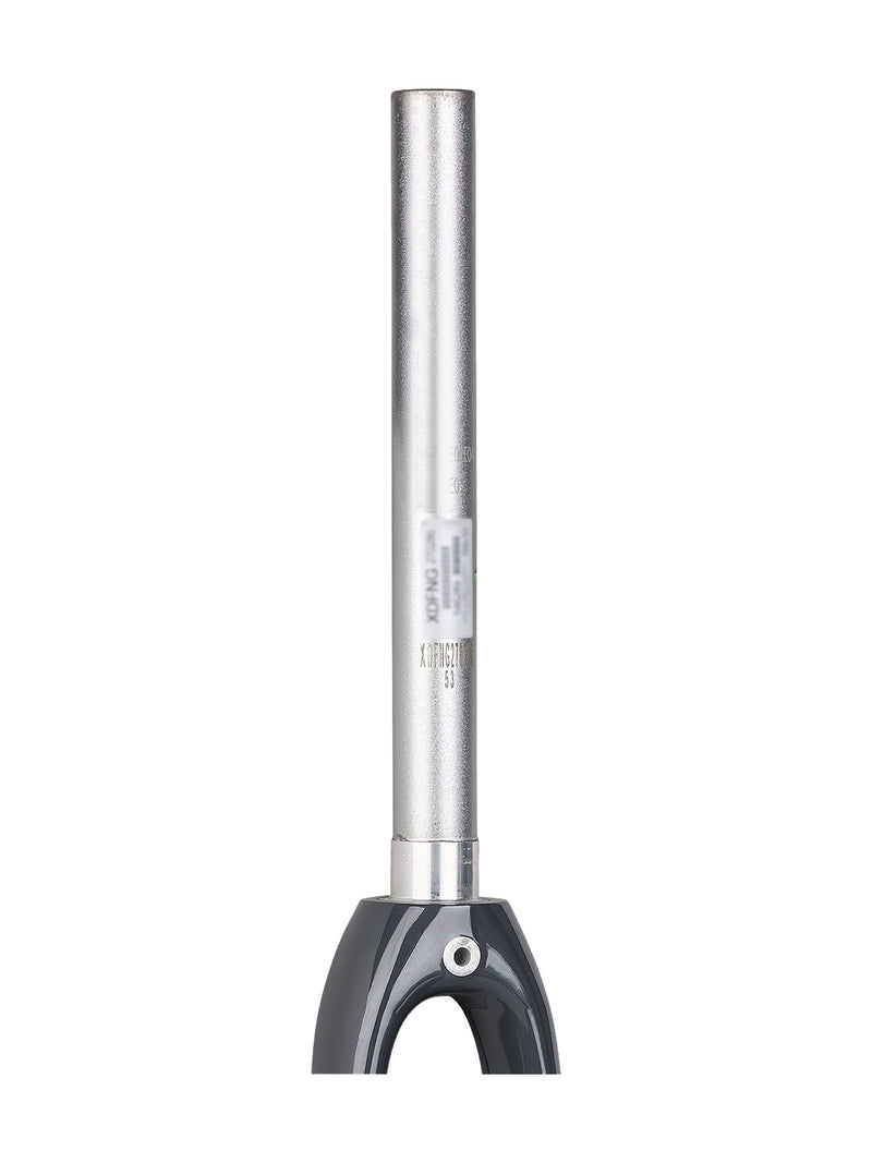 Trek 2019 Domane AL 700c Rigid Forks