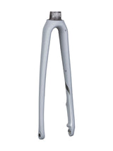 Trek 2019 Emonda ALR 700c Disc Fork