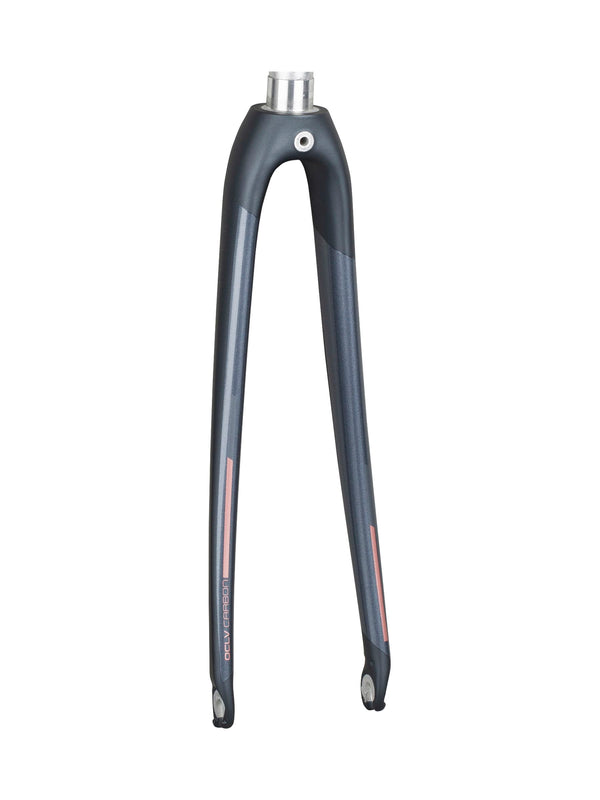 Fourche Trek 2020 Domane AL