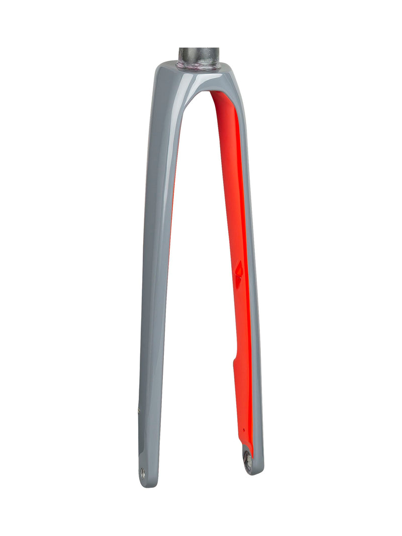Fourche Trek 2020 Domane SL 4