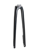 Fourche Trek 2020 Domane SL 4