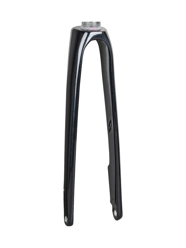Fourche Trek 2020 Domane SL 4