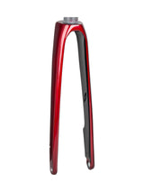 Fourche Trek 2020 Domane SL 5