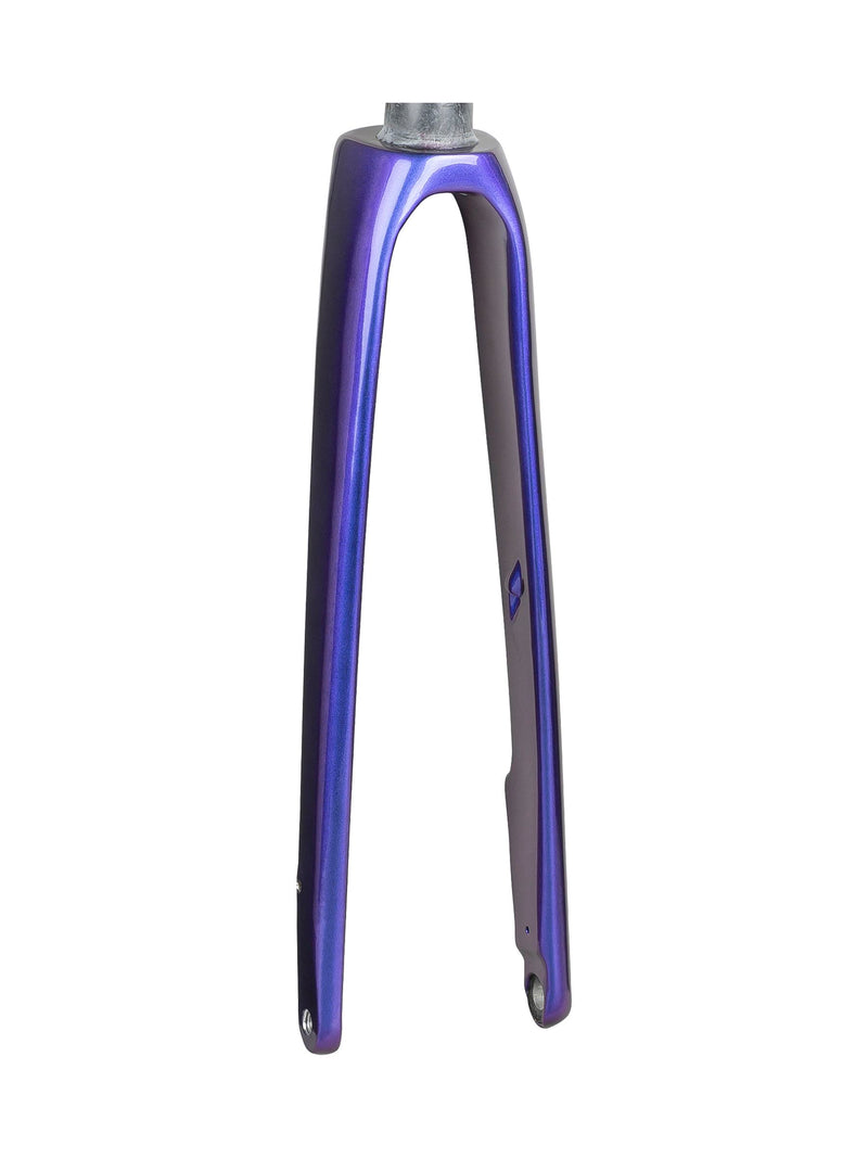 Fourche Trek 2020 Domane SL 5