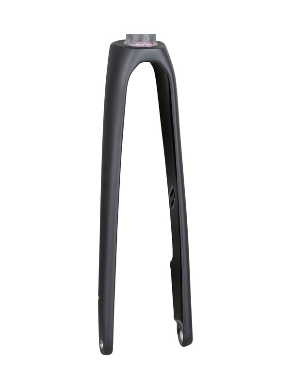 Fourche Trek 2020 Domane SL 6