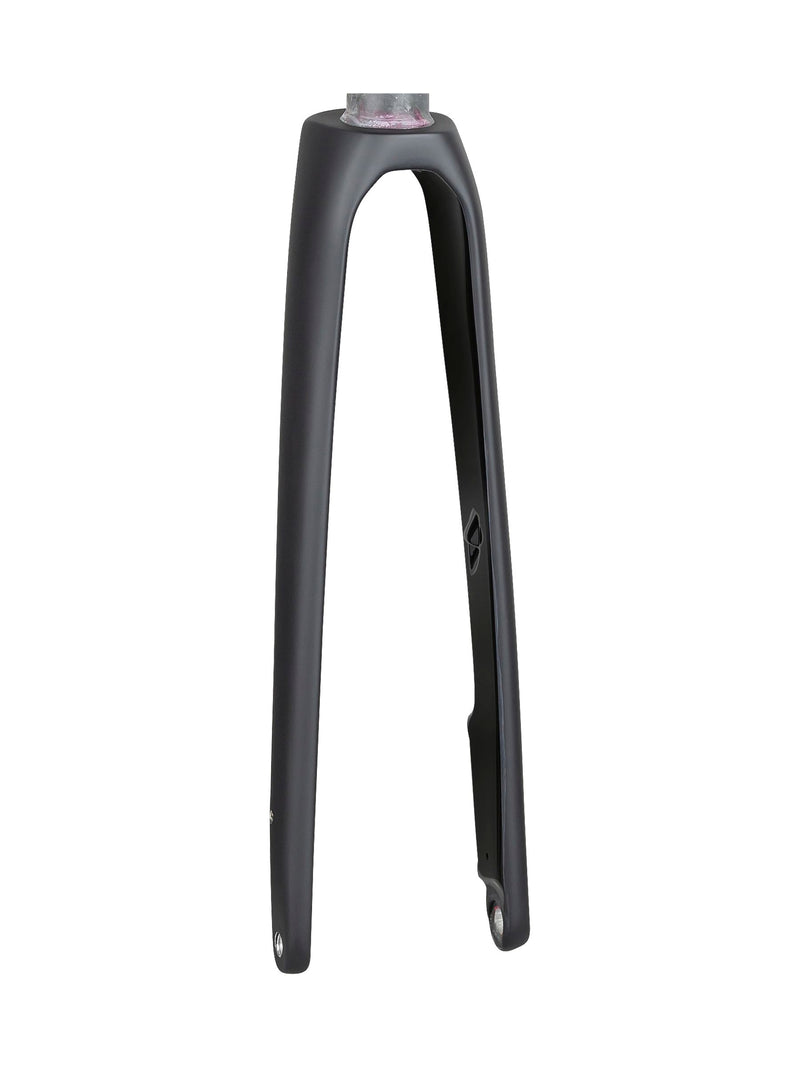 Fourche Trek 2020 Domane SL 6