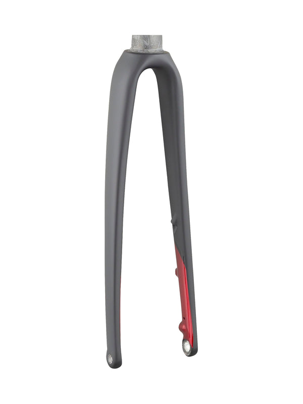 Fourche Trek 2020 Emonda SLR 7