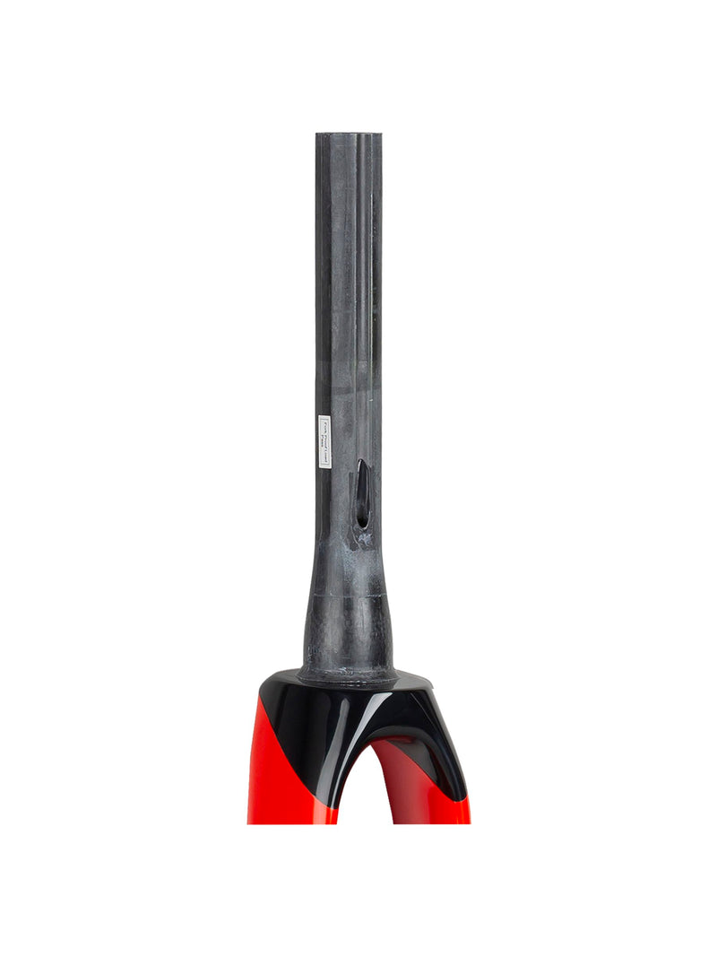 Fourche pour Trek 2020 Madone SL