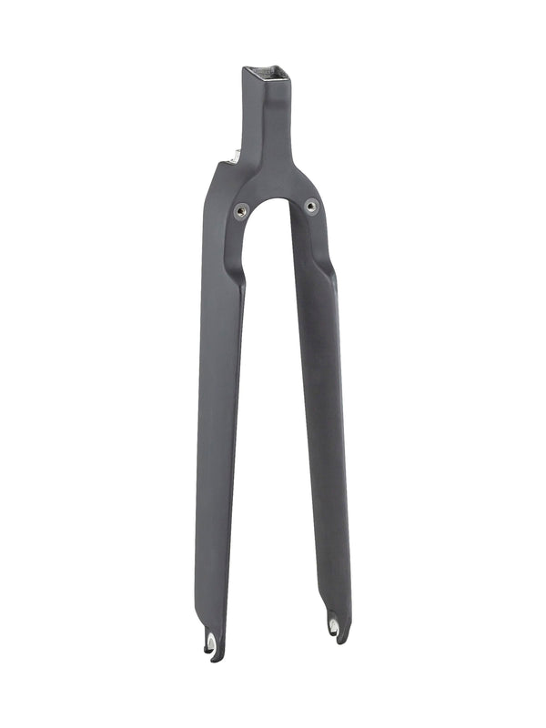 Fourche pour Trek 2020 Speed Concept