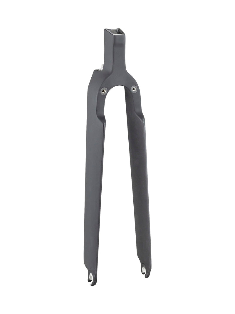 Fourche pour Trek 2020 Speed Concept