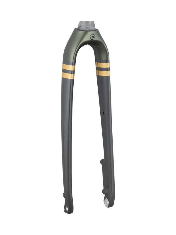 Trek 2021 Checkpoint SL 700c Rigid Forks