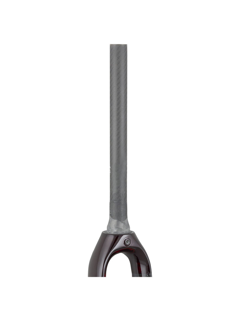 Trek 2021 Checkpoint SL 700c Rigid Forks