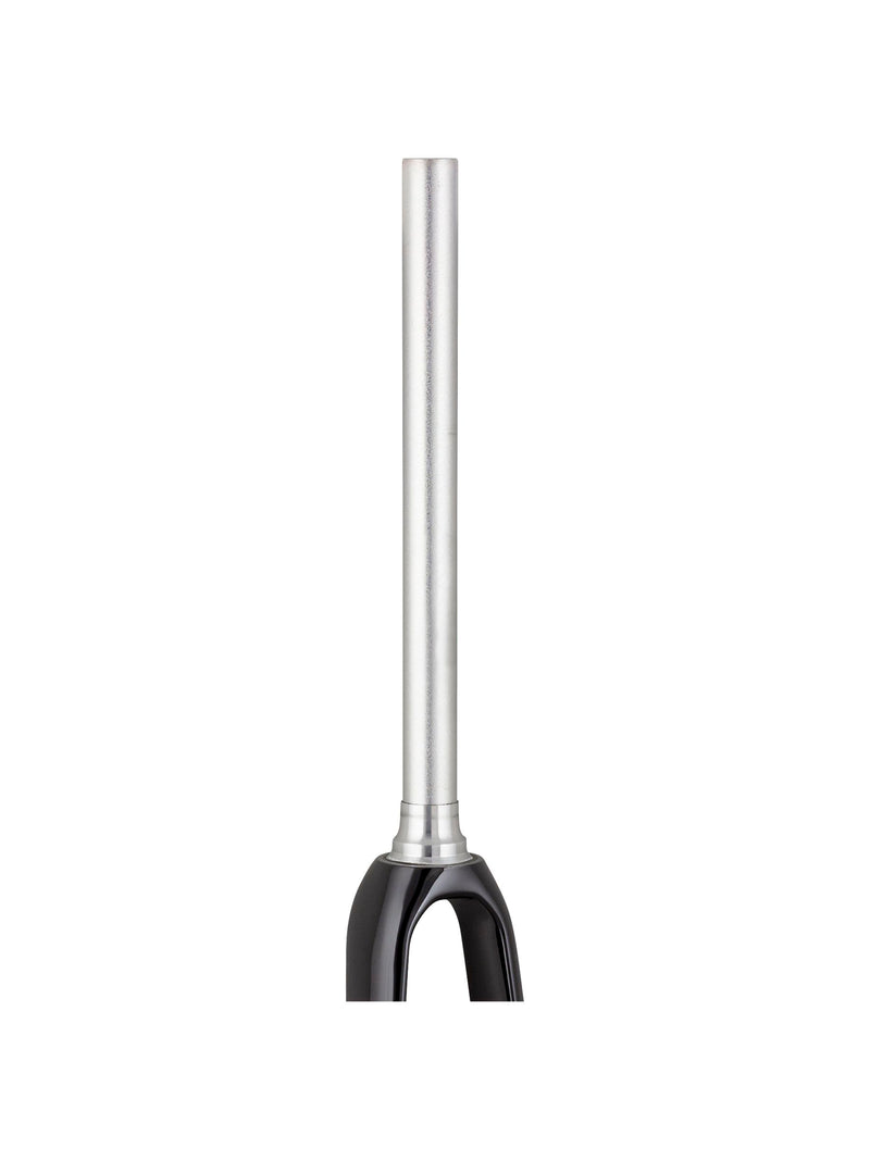 Trek 2021 Domane AL 2 700c Disc Rigid Forks