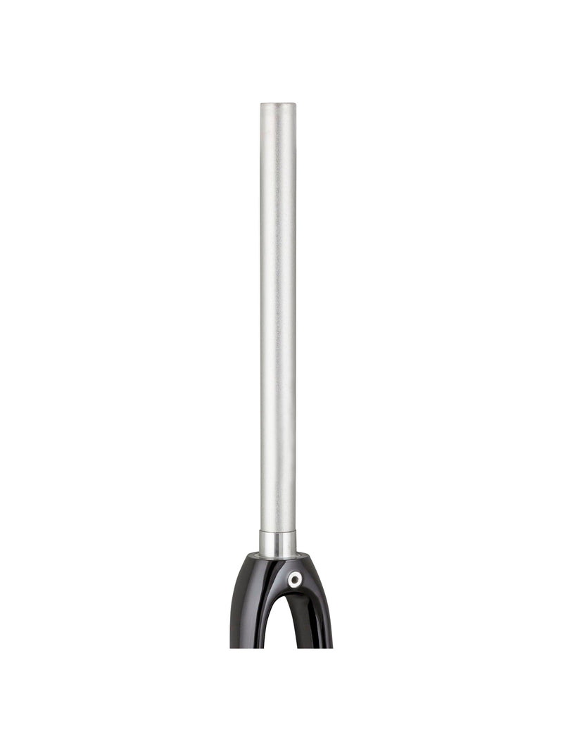 Trek 2021 Domane AL 2 700c Rigid Forks