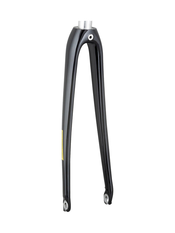 Trek 2021 Domane AL 2 700c Rigid Forks