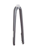 Trek 2021 Domane AL 5 700c Disc Rigid Forks