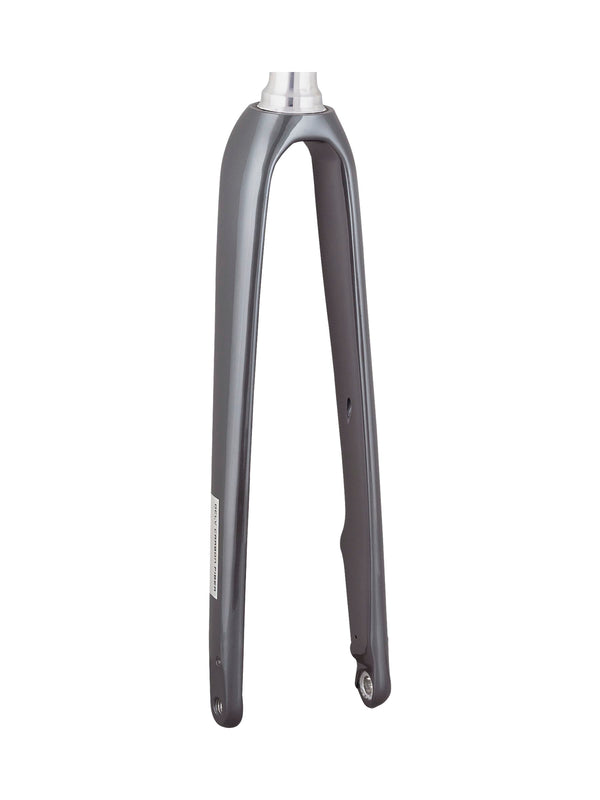 Trek 2021 Domane AL 5 700c Disc Rigid Forks