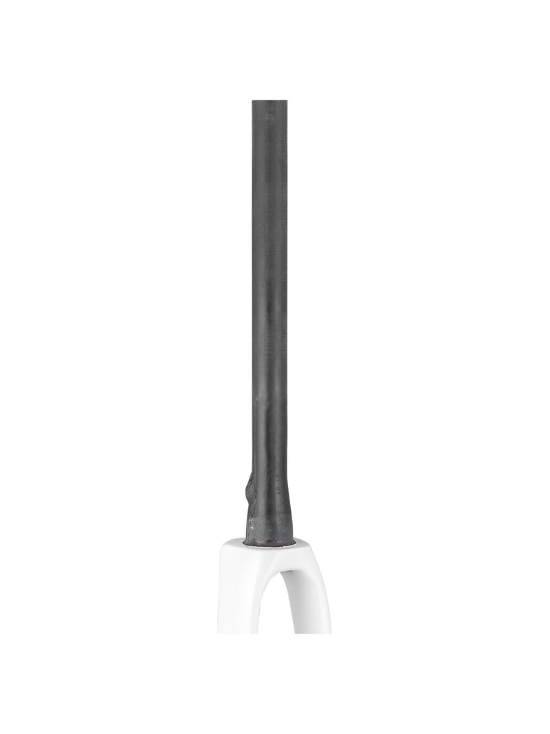 Trek 2021 Domane SL 700c Rigid Forks