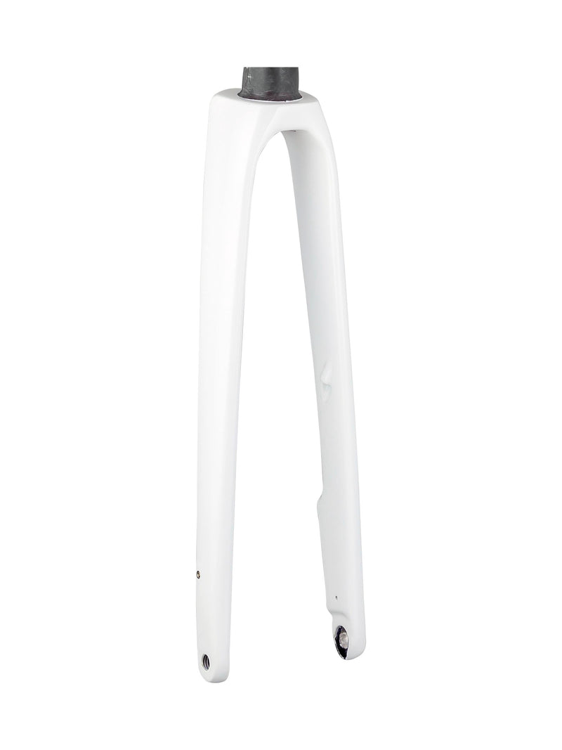 Trek 2021 Domane SL 700c Rigid Forks