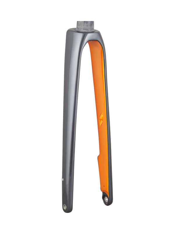 Trek 2021 Domane SL 700c Rigid Forks