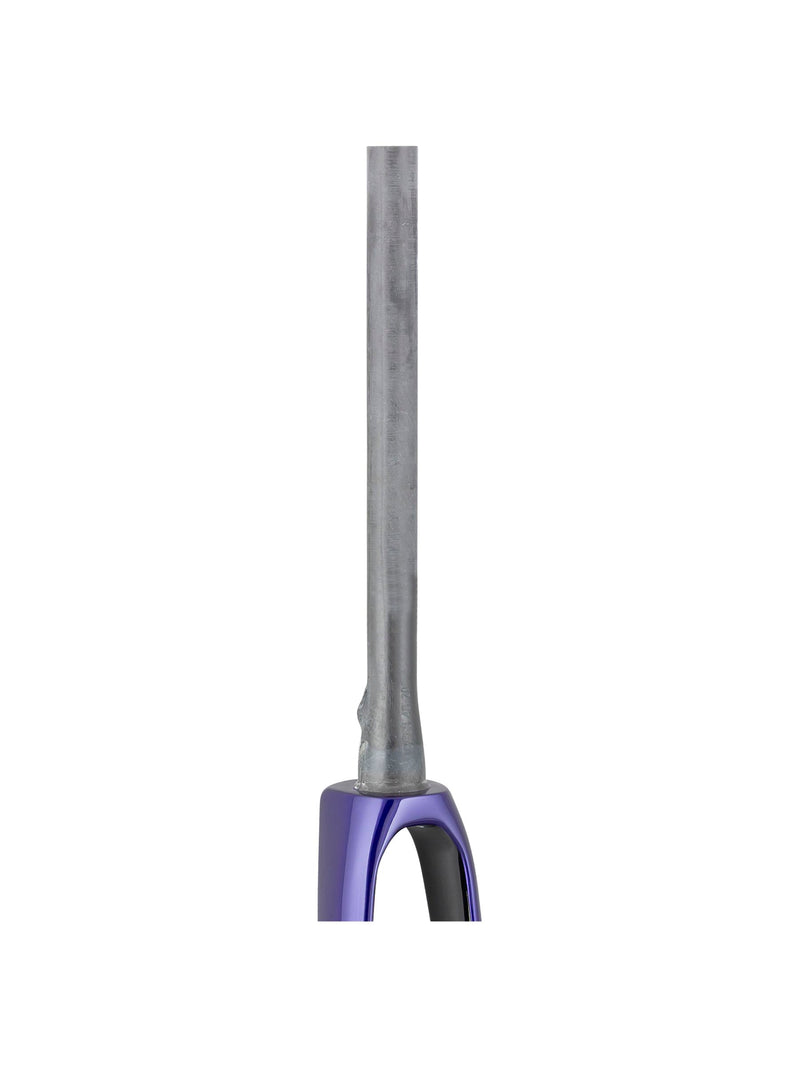 Trek 2021 Domane SL 700c Rigid Forks