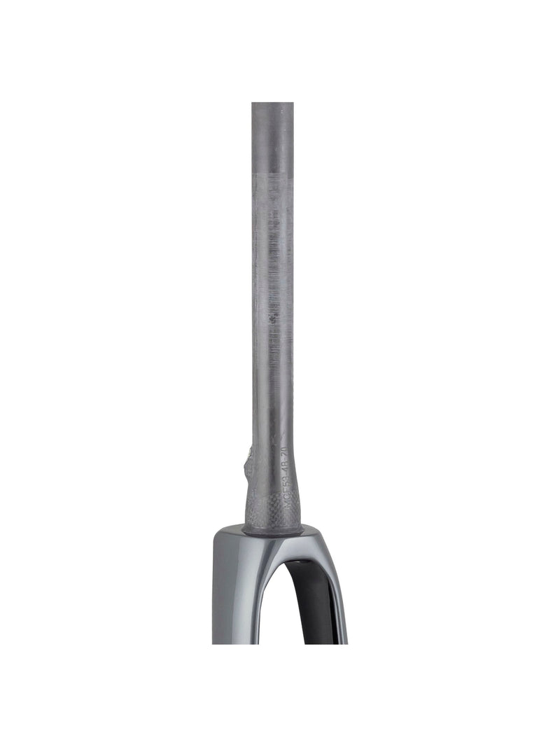 Trek 2021 Domane SLR 700c Rigid Forks