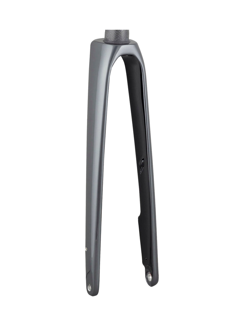 Trek 2021 Domane SLR 700c Rigid Forks