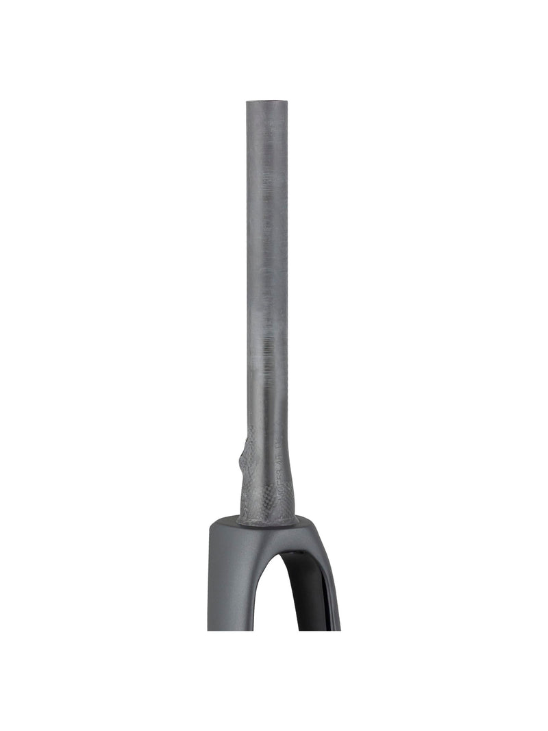 Trek 2021 Domane SLR 700c Rigid Forks