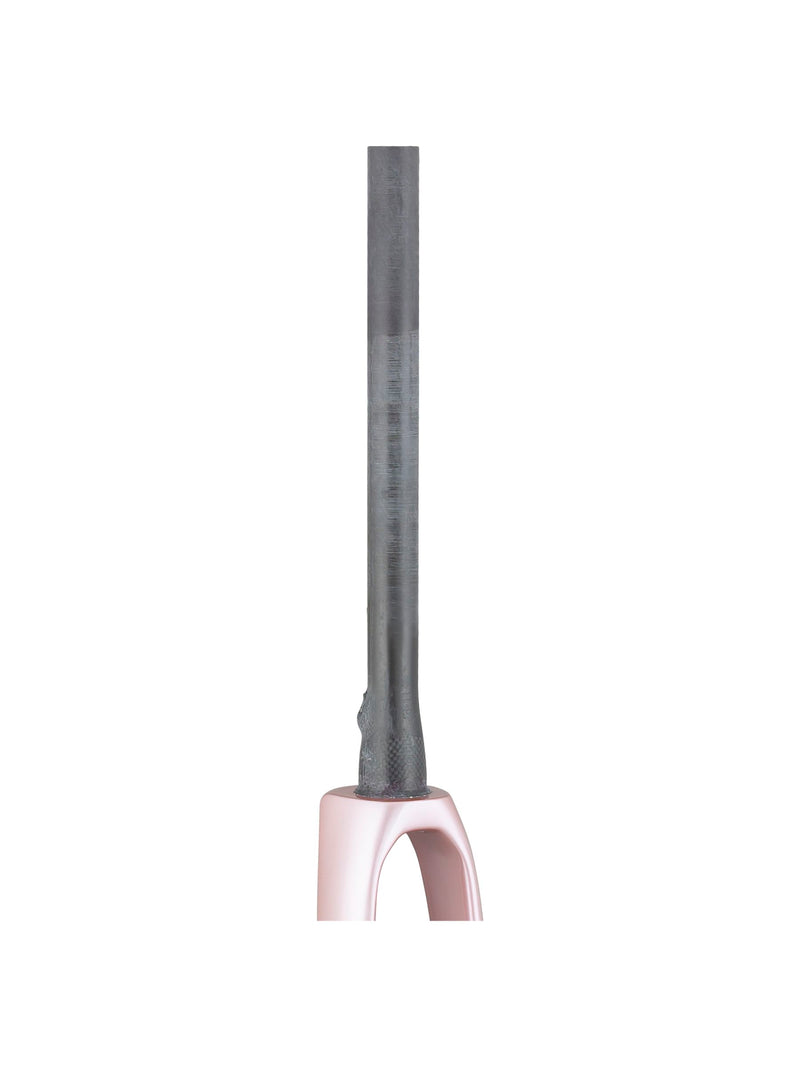 Trek 2021 Domane SLR 700c Rigid Forks