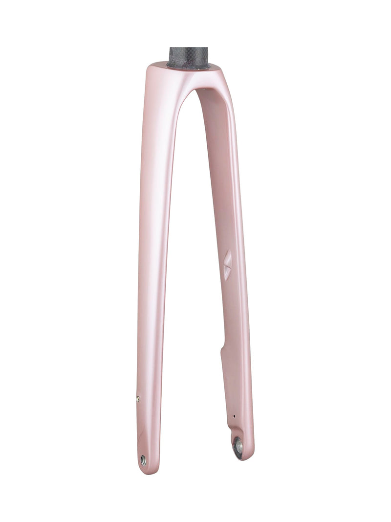 Trek 2021 Domane SLR 700c Rigid Forks
