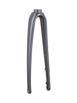 Trek 2021 Emonda ALR 4 700c Rigid Forks