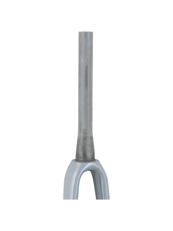 Trek 2021 Emonda ALR 5 700c Rigid Forks