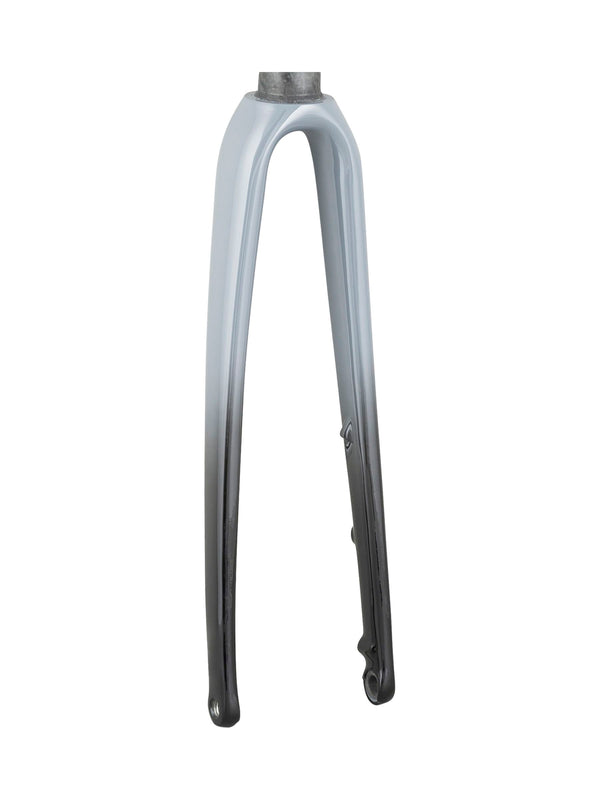 Trek 2021 Emonda ALR 5 700c Rigid Forks