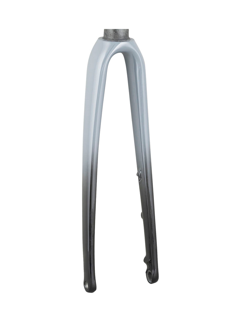 Trek 2021 Emonda ALR 5 700c Rigid Forks