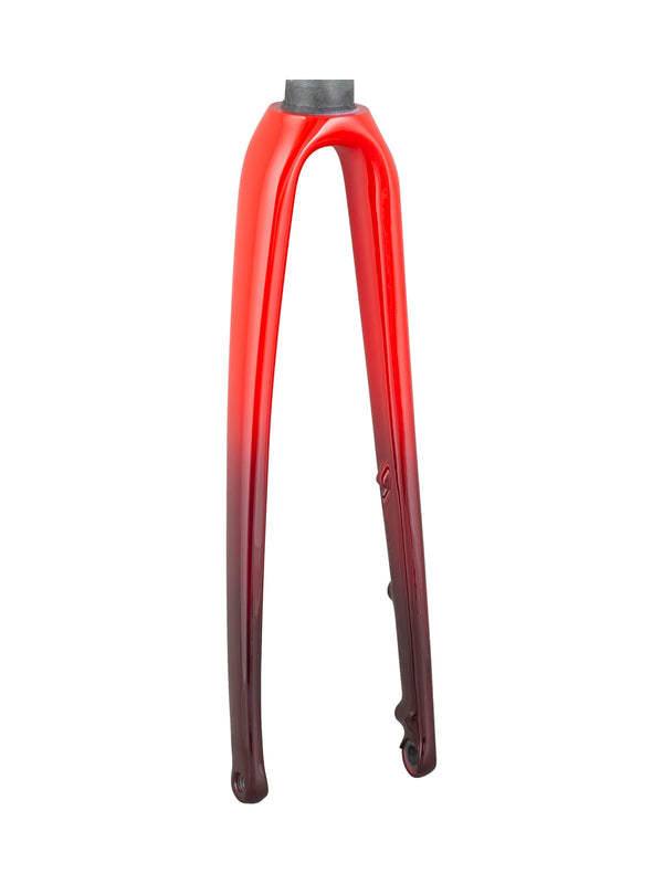 Trek 2021 Emonda ALR 6 700c Rigid Forks