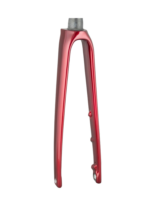 Trek 2021 Emonda SLR 700c Rigid Forks